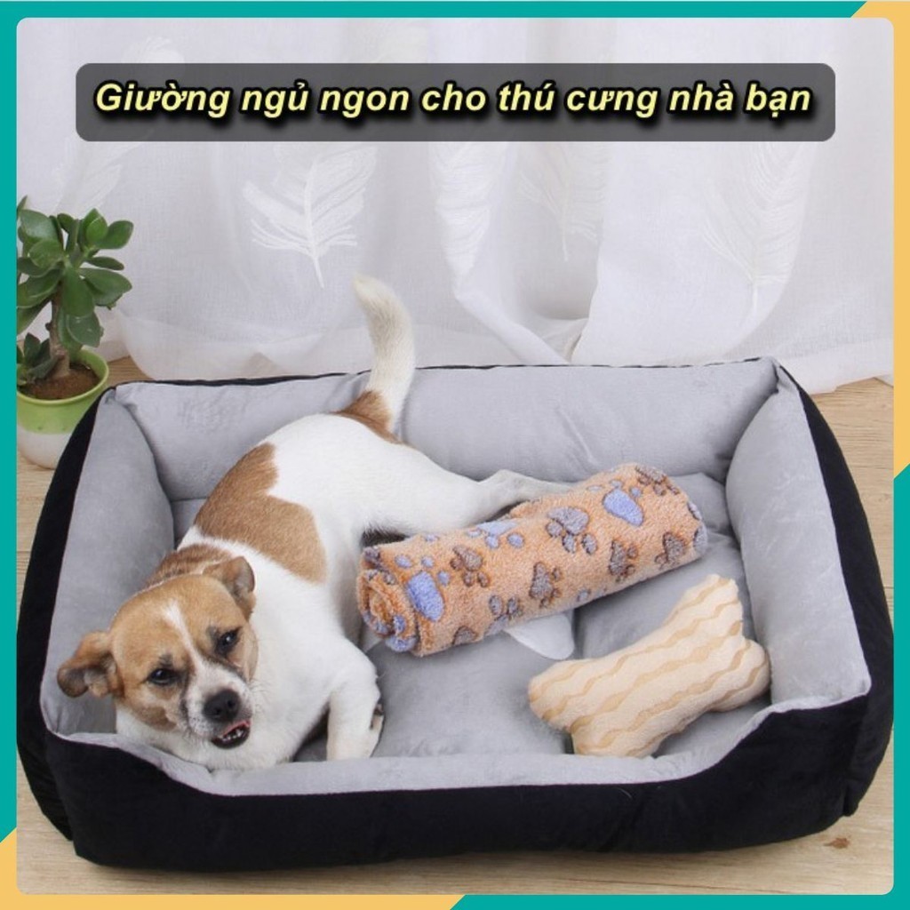 Giường Ngủ Cho Thú Cưng Nhà Bạn OF PET Cao Cấp Hanrui VN Calm Corner Minimalist Living