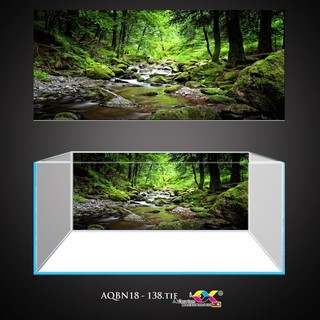 Tranh 3D Koifish - Tranh dán cho bể thủy sinh - Rừng với suối nước