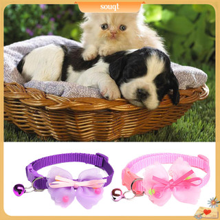 Vòng cổ đính nơ dễ phối đồ cho thú cưng