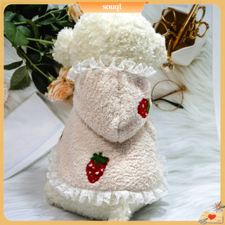 Áo choàng thời trang cho thú cưng
