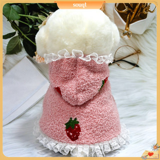 Áo choàng thời trang cho thú cưng