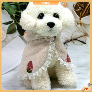 Áo choàng thời trang cho thú cưng