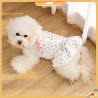 Đầm công chúa xinh xắn cho thú cưng