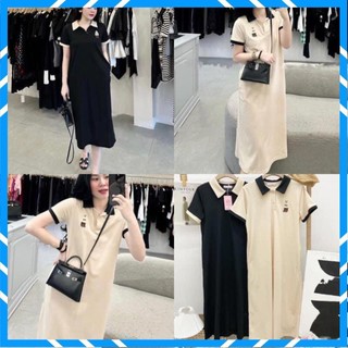 Váy , Đầm Polo Phối Viền Tay Thêu Hình Gấu From Rộng Chất Cotton