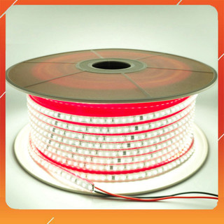 CUỘN  50 MÉT DÂY ĐÈN LED DÁN BỌC NHỰA CHẠY ĐIỆN 220V ,CHỐNG NƯỚC , CHỐNG GIẬT, TIẾT KIỆM DỄ THI CÔNG