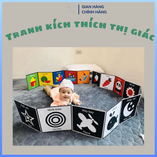 Bộ Thẻ Kích Thích Thị Giác Giúp Bé Phát triển TOÀN DIỆN cho trẻ từ 1 tháng tuổi 