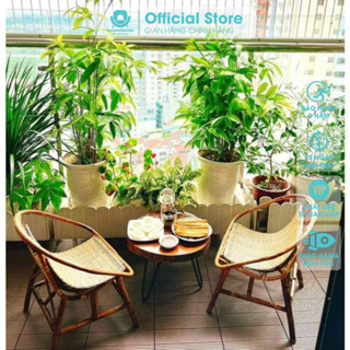 Ghế lười thư giãn mây tre con sò Cao Cấp Chất Liệu Mây Cứng Cáp, Đàn Hồi, Decor Trang Trí, Uống Trà