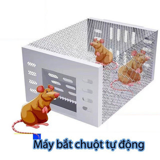 Bẫy chuột,lồng bẫy chuột bắt chuột nhỏ đến to siêu nhạy bẫy chuột.hq