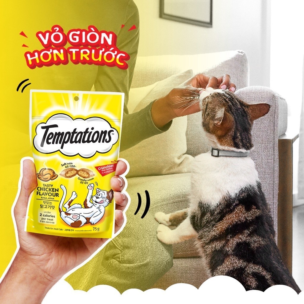 Temptations - Bánh thưởng cho mèo