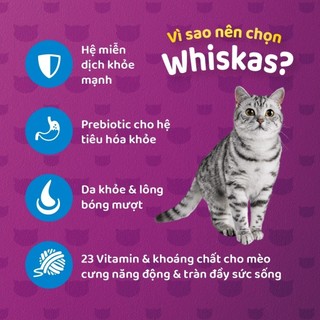 Thức ăn mèo Whiskas túi 400g