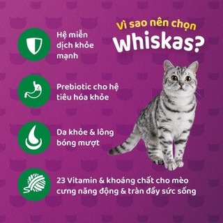 Thức ăn mèo Whiskas túi 480g