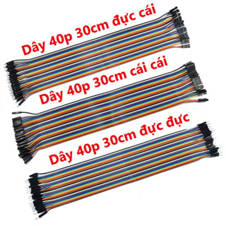  Tệp Dây 40P 30cm 3 loại đực cái đực đực cái cái 