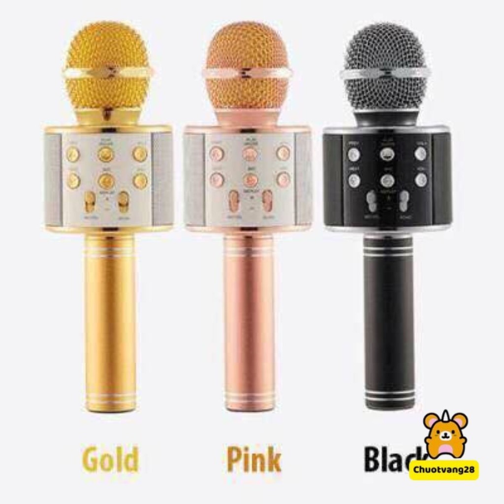 Mic hát Karaoke 858