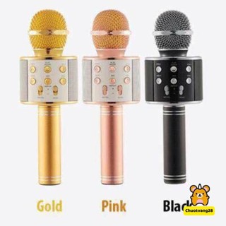 Mic hát Karaoke 858