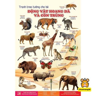 Bộ tranh học cho bé 14 chủ đề