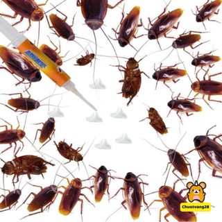 Keo diệt gián