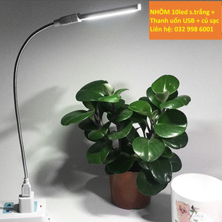 Đèn led usb 8led cảm ứng chạm bật tắt tiện lợi cắm pin dự phòng làm đèn du lịch cắm trại ddcg11