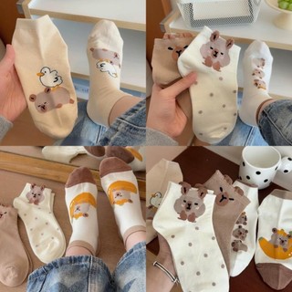 Set 5 đôi tất vớ cổ thấp cotton họa tiết Capybara cực yêu