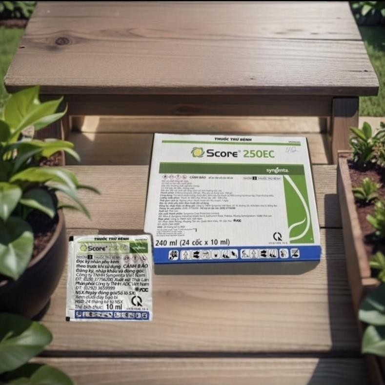 Score 250EC syngenta