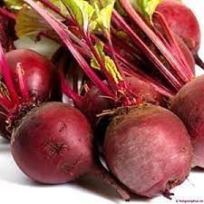 Hạt Giống Củ Dền Đỏ - Củ To Tròn Dễ Trồng, Dễ Chăm Sóc