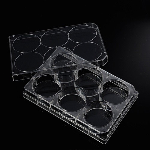 Phiến nuôi cấy tế bào 6 giếng, tiệt trùng 1 cái/túi (Cell Culture Plates) Code: 07-6006, hãng Biolog