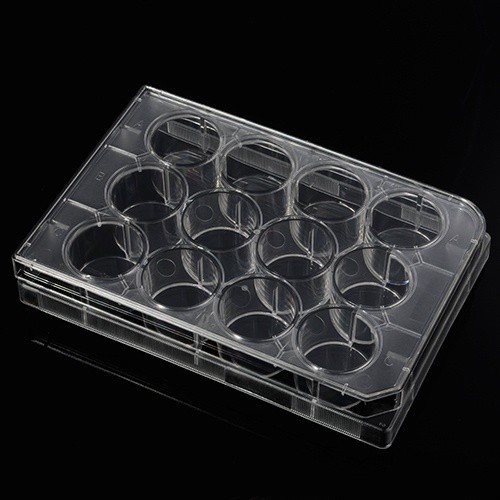 Phiến nuôi cấy tế bào 12 giếng (Cell Culture Plates), mã 07-6012, Biologix-USA