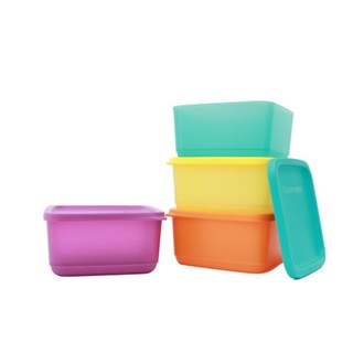 Hộp nhựa đựng thực phẩm trữ đông Dẻo Tupperware