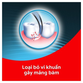[HB Gift] Bộ du lịch Colgate