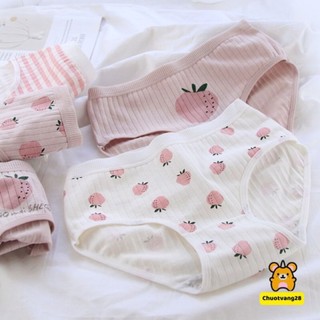 Set 10 quần lót cotton hoạ tiết dâu tây