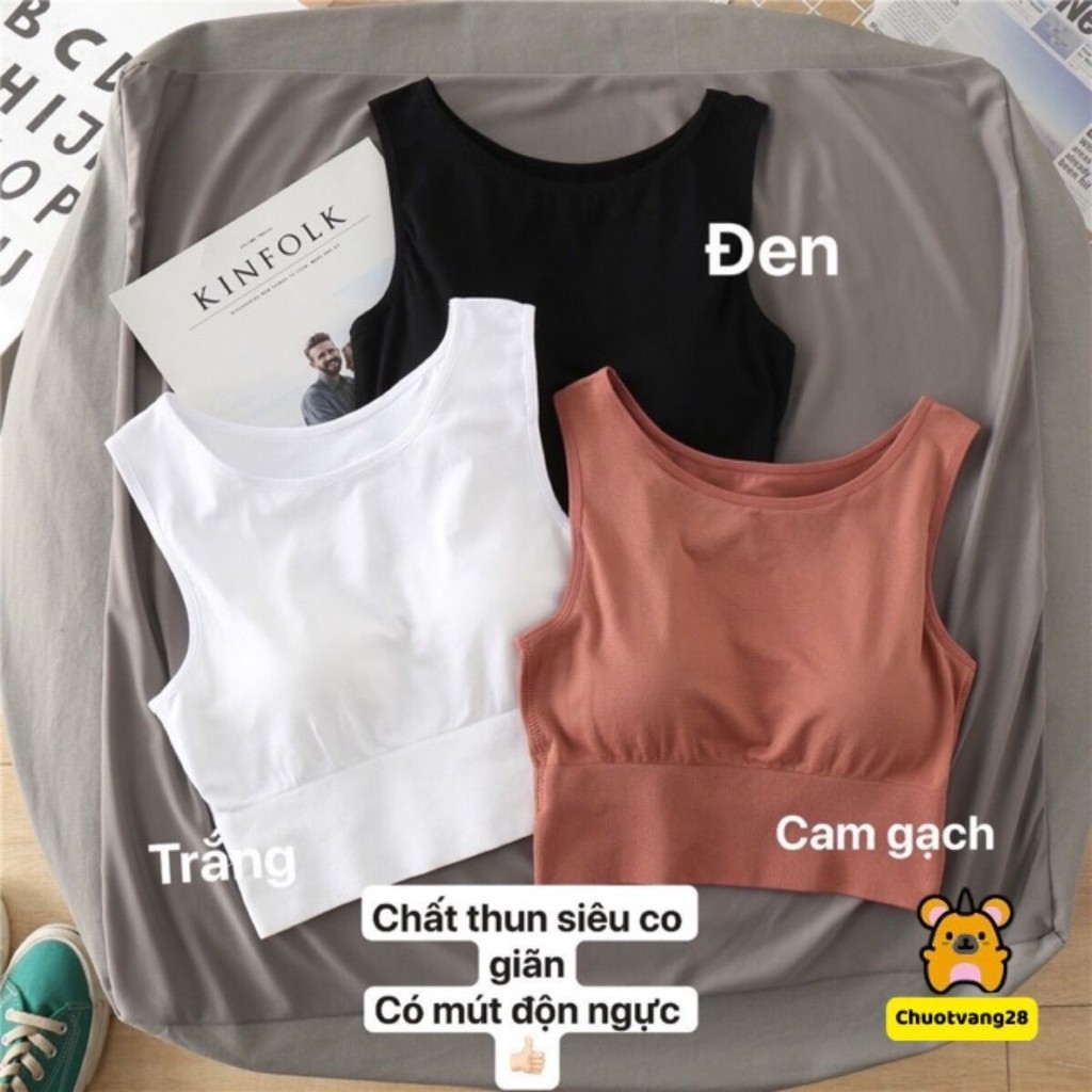 Áo croptop ba lỗ 8862