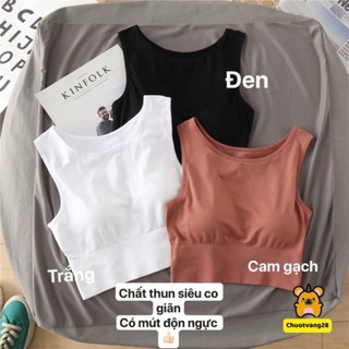 Áo croptop ba lỗ 8862