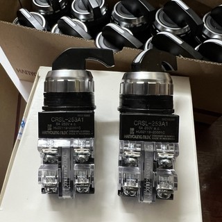 Công tắc xoay crsl-252a1 crsl-253a1 phi 25 2 vị trí, 3 vị trí