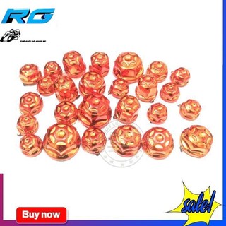 Chụp Ốc Cho Xe Máy ( Màu Bạc )