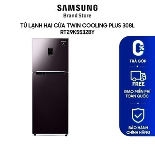 Tủ lạnh hai cửa Samsung Twin Cooling Plus 308L RT29K5532BY