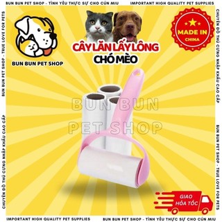 Cây lăn lấy lông chó mèo, bụi bẩn