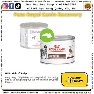 195gr Pate Royal Canin Recovery Fel phục hồi cho chó mèo
