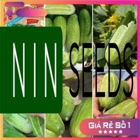 60H - HẠT GIỐNG DƯA CHUỘT NẾP BÉO THÁI LAN - HGNK