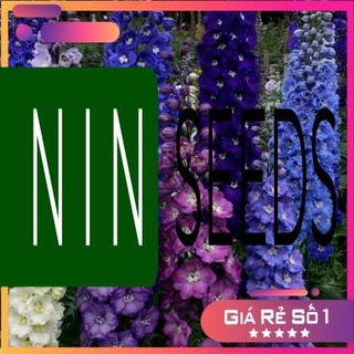 200H - Hạt giống Hoa Phi Yến Nhiều màu Nhập Khẩu - HGNK
