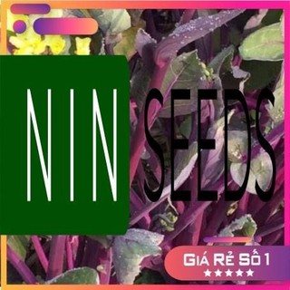Hạt giống cài ngồng đỏ sanzi - HGNK