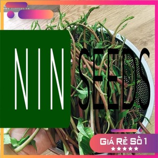 Hạt giống rau muống siêu ngọn tím nhập khẩu Thái Lan -10 gr - HGNK