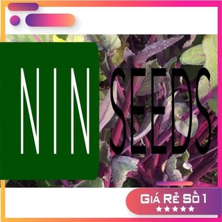 Hạt giống cài ngồng đỏ sanzi - HGNK
