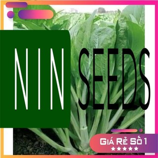 Hạt giống Cải Ngồng Xanh Siêu Ngọn Hong Kong -10g - HGNK