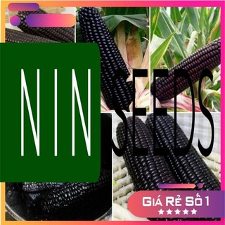 Hạt giống Ngô đen - nhập khẩu nguyên bao bì gói 15gram - HGNK