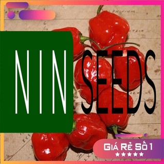 [ Hàng F1 Mỹ ] Hạt giống Ớt Habanero Đỏ - 20 hạt - Nảy mầm 95% - HGNK