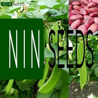 Hạt giống đậu kiếm/ đậu rựa nhập khẩu nguyên bao bì - 5 hạt - nảy mầm 85% - hgnk