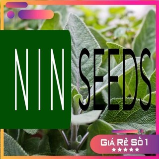 Hạt giống xô thơm sage nhập khẩu mỹ - 50 hạt