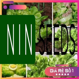 Hạt giống Cải mầm đá - NK nguyên bao bì - HGNK