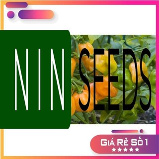 Hạt giống ớt cam siêu cay Habanero - 15 hạt - NK Mỹ - HGNK