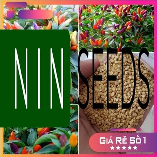 Hạt giống ớt chỉ thiên ngũ sắc - 50 hạt - hgnk