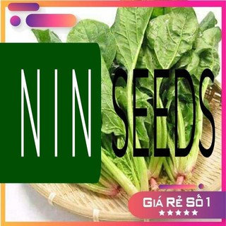 Hạt giống cải bó xôi nếp (rau bina, rau chân vịt) -15gr - 2000H - HGNK